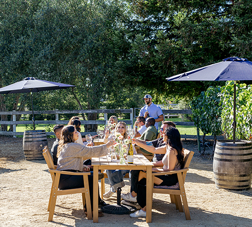 Harvest Table with Owners Clay & Fredericka An Intimate Tasting and Lunch in the Vineyard