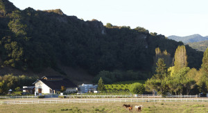 Claiborne & Churchill, Winery Guest Cottage