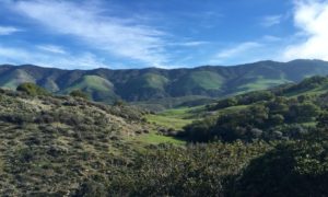 reservoir canyon, claiborne & churchill, hike, Trails of SLO Wine Country