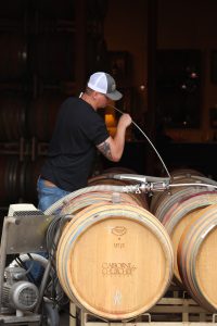 Winemaker Zack Geers preparing our Pinot Noir Blends.